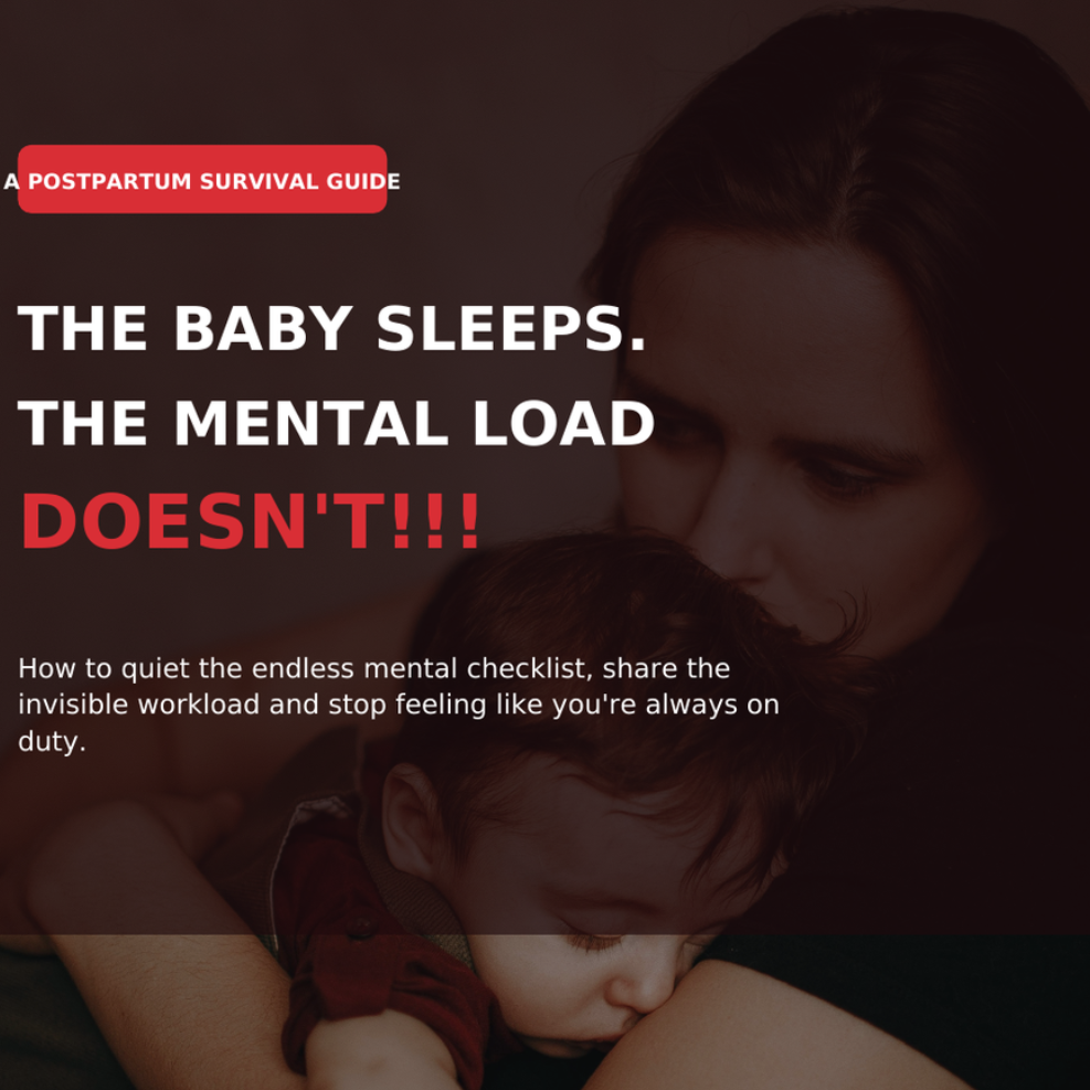 The Baby Sleeps. The Mental Load Doesn't full title postpartum guide cover